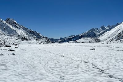 En direction du camp de base du Col du Lumba Sumba - Népal