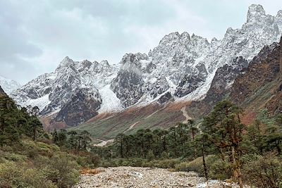 Campement du Yangjong Kharka - Népal