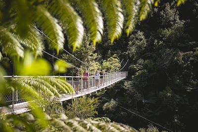 © Miles Holden / Tourism NZ Visual Library - Trek dans Le parc national Abel Tasman Trek dans Le parc national Abel Tasman