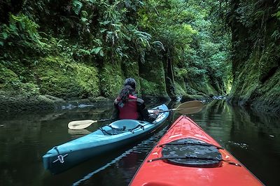 Odyssée maorie, aventures aux antipodes