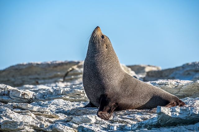 Voyage Aventures hivernales en terres Maori