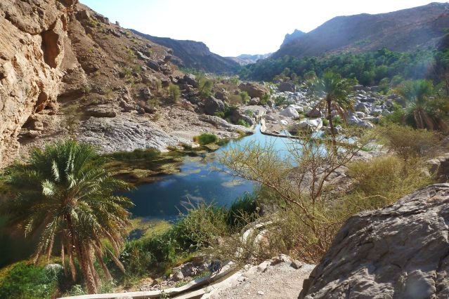 Voyage Oman : de l'eau, du sable et des hommes 2