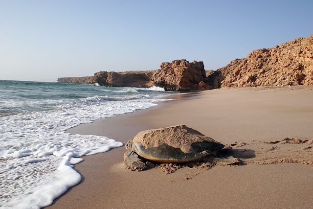 Voyage Au pays de Sindbad le marin