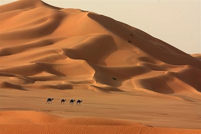 Oman, des dunes d'or aux dunes blanches