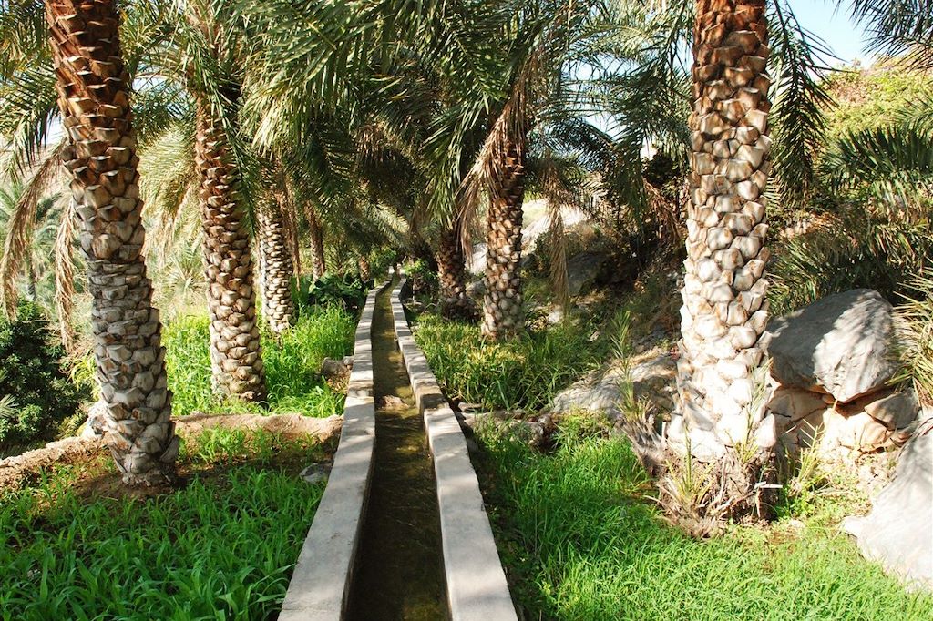 Voyage Oman : de l'eau, du sable et des hommes 1