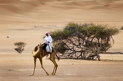 Voyage Désert des Wahibas