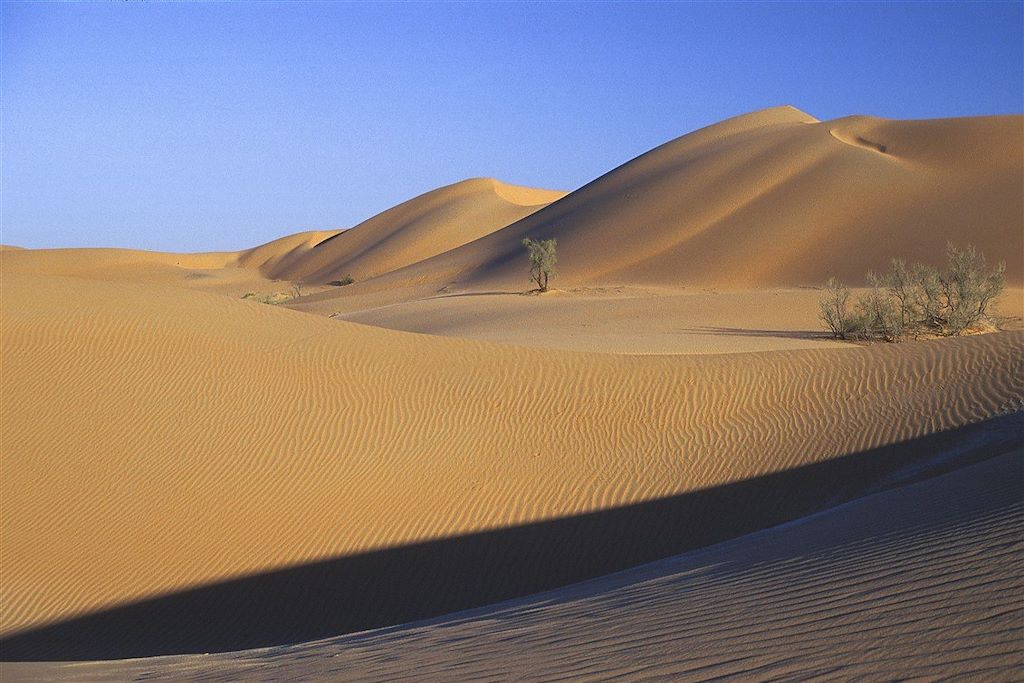 Voyage Oman : de l'eau, du sable et des hommes 3
