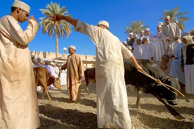 © Oman Tourisme OT - Nizwa - Oman Nizwa - Oman