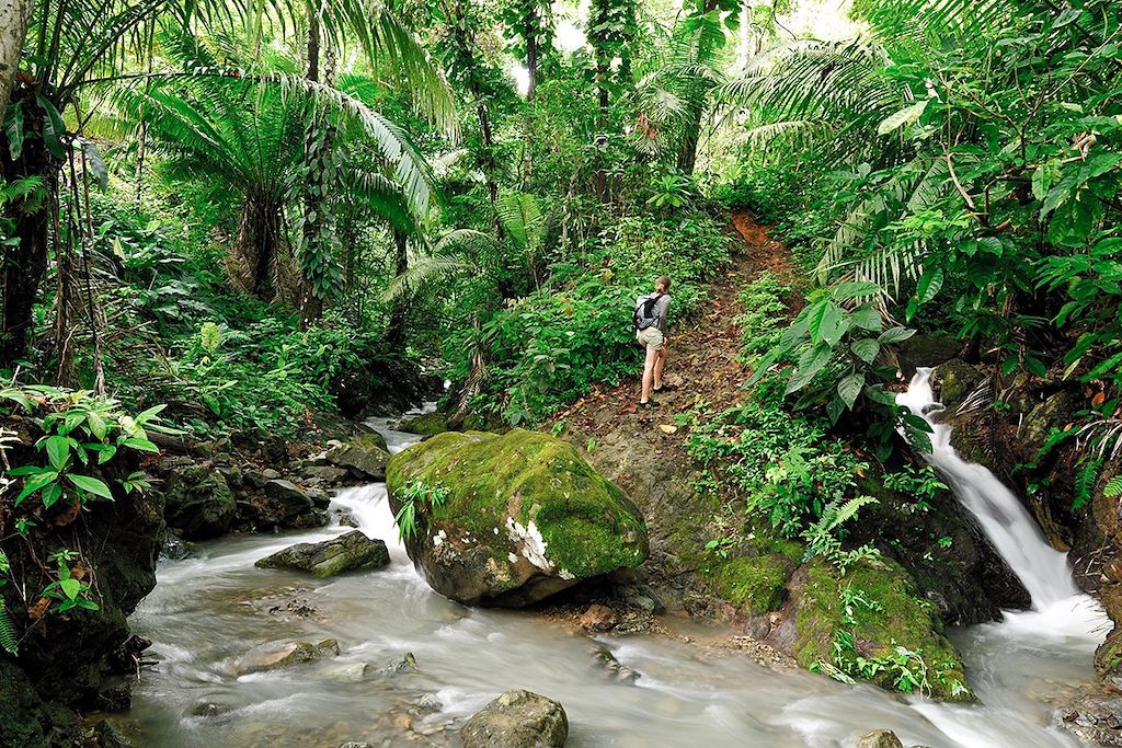 Voyage Entre jungle et îles paradisiaques, le Panamá 2
