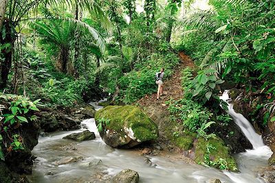 Jungle sauvage du Darien -  Panama
