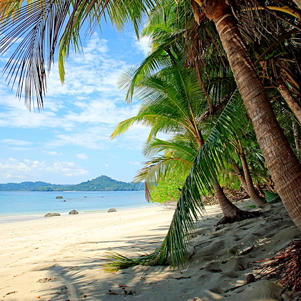 Découverte Panama