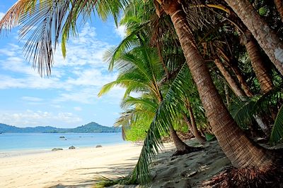 Baignade - Snorkeling