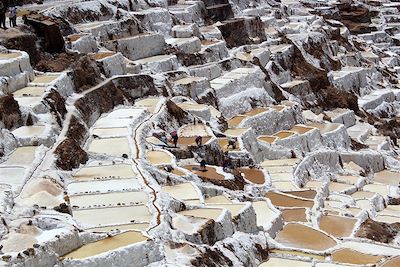 Canyon de Colca et hauts plateaux andins