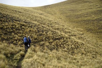 Sur le chemin d'Huchuyqosqo - Cusco - Pérou