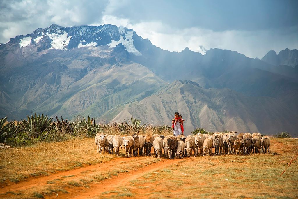 Voyage Trek de Lares, sur les chemins secrets des Incas