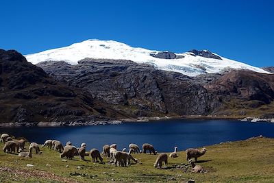 © Walter Christian Mendez Bendezu - Huayhuash - Lac Viconga - Pérou Huayhuash - Lac Viconga - Pérou