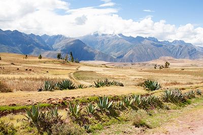 Voyage  Arequipa et Canyon de Colca