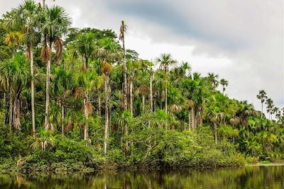 © Yann Guiguen - Rivière Tambopata dans la forêt tropicale de Puerto Maldonado - Pérou Rivière Tambopata dans la forêt tropicale de Puerto Maldonado - Pérou
