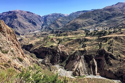 © Agathe Pigeaud - Canyon de Colca - Pérou Canyon de Colca - Pérou