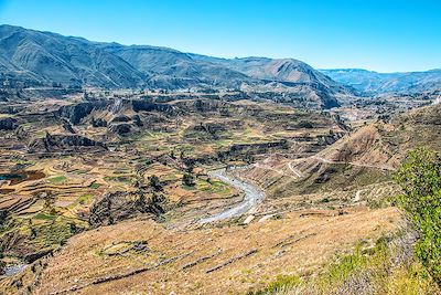 Canyon de Colca - Pérou