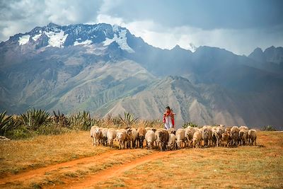 Trek Lac Titicaca