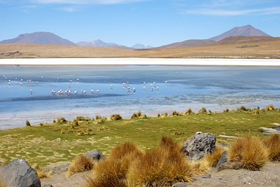 Voyage Du Machu Picchu au salar d'Uyuni 3