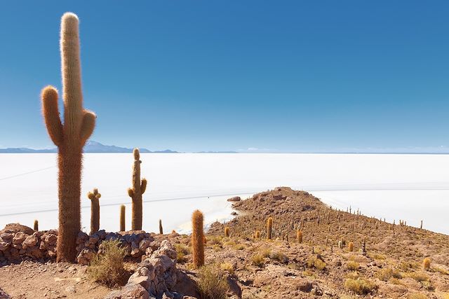 Voyage Du Machu Picchu au salar d'Uyuni