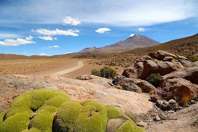 Route des joyaux - Sud Lipez - Bolivie