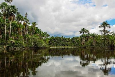Rivière Tambopata dans la forêt tropicale de Puerto Maldonado - Pérou