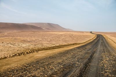 © Pauline Cornil - Réserve nationale de Paracas - Pérou Réserve nationale de Paracas - Pérou