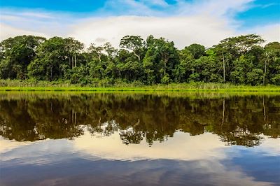 Rivière dans la forêt tropicale de Puerto Maldonado - Pérou