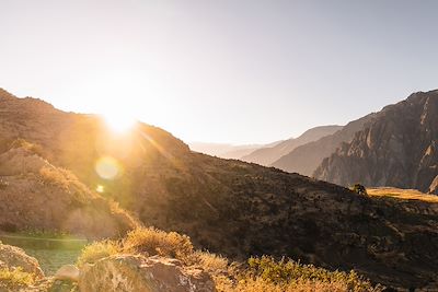 Canyon de Colca - Pérou