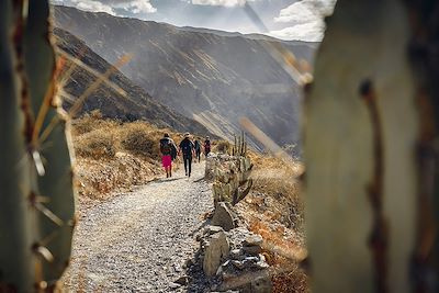 Randonnée - Canyon de Colca - Pérou