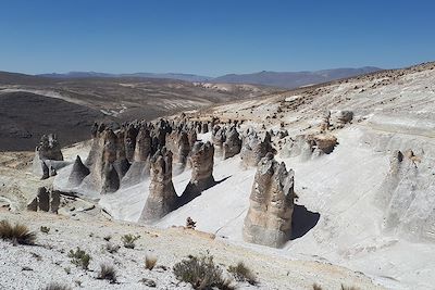 Forêt de pierre Puruna dans l'Altiplano près d'Arequipa - Pérou