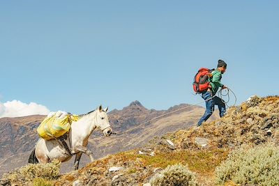 Randonnée avec les lamas entre Lares et Challwacocha
