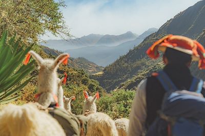 Randonnée avec les lamas entre Lares et Challwacocha