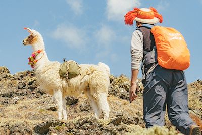 Randonnée avec les lamas entre Lares et Challwacocha