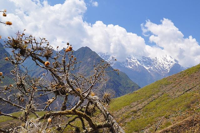 Observation animalière Pérou Arequipa et Canyon de Colca