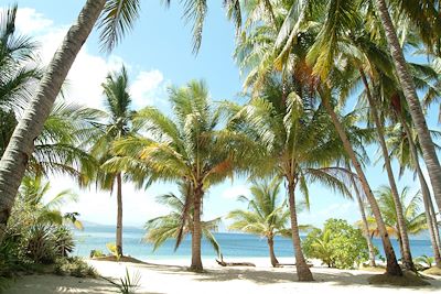 Flower Island - Palawan - Phillipines