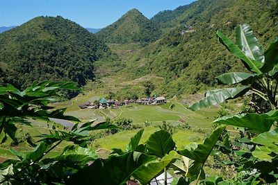 Rizières de Banaue - Province d'Ifugao - Région administrative de la Cordillère - Luçon - Philippines