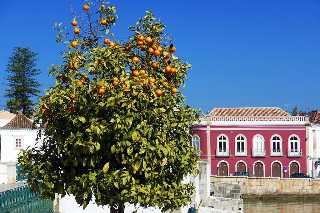 Voyage L’Algarve à vélo, d’arrière-pays en littoraux 1
