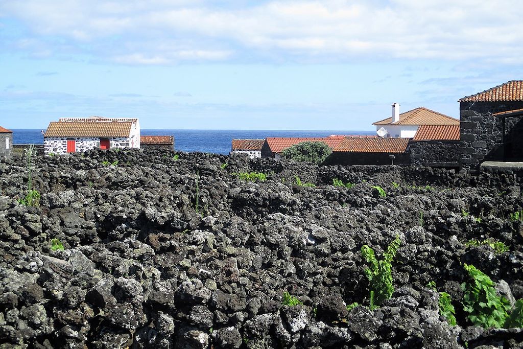 Voyage Escapades océanes: Faial, Pico, Sao Jorge 2