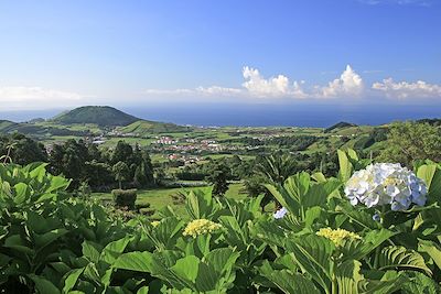 © Schlierner / Adobe Stock - Ile de Faial - Açores - Portugal Ile de Faial - Açores - Portugal