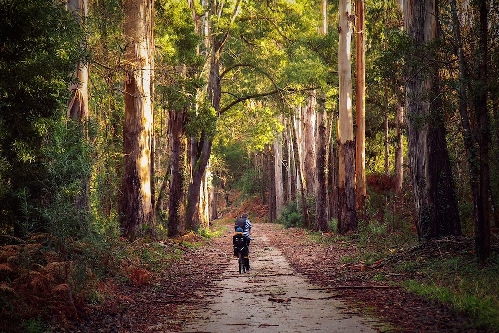 Voyage De Porto à Lisbonne à vélo, tradition & romantisme 1