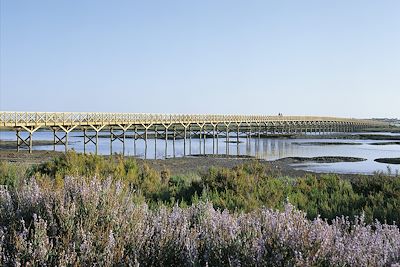 Algarve - Ria Formosa - Portugal