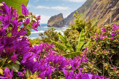 Voyage Bien-être et douceur sur l’île aux fleurs 3