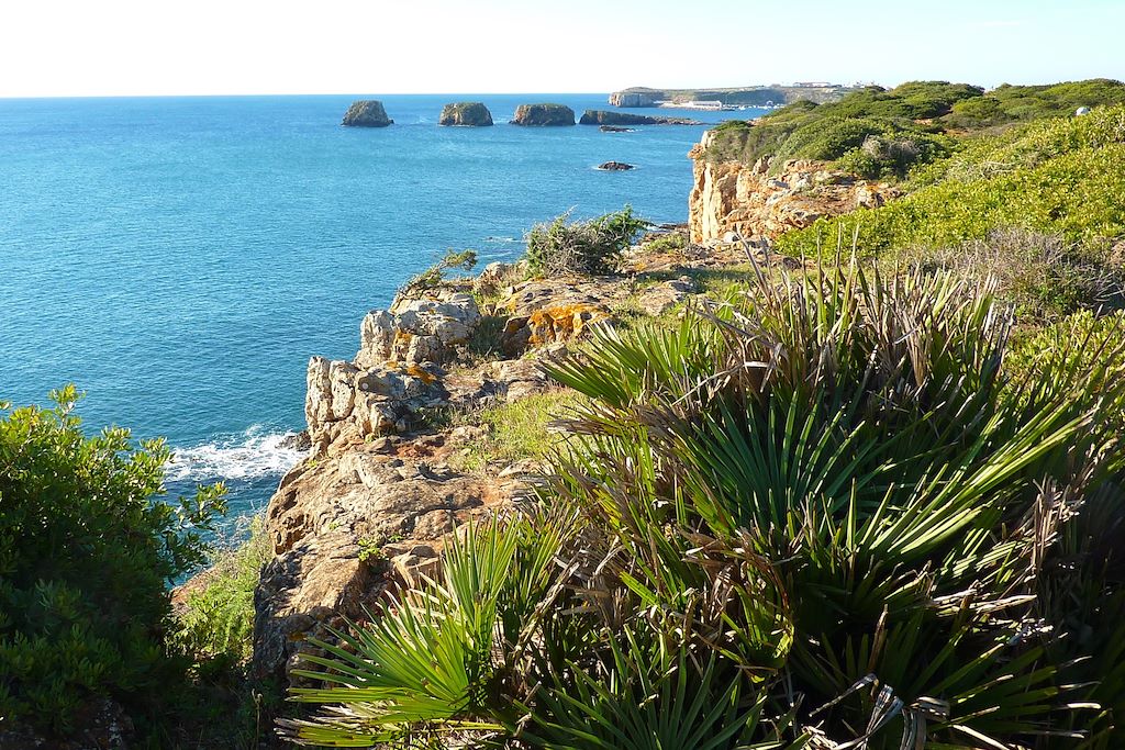 Voyage Lisbonne et Sintra