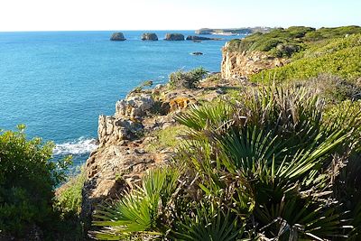 Voyage L'Algarve des trois printemps 1