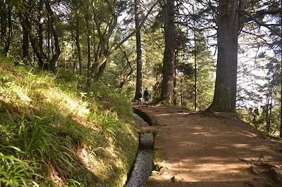 Randonnée au Chaudron vert - Madère - Portugal