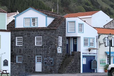 Le centre d'observation des baleines sur l'île Pico - Açores - Portugal